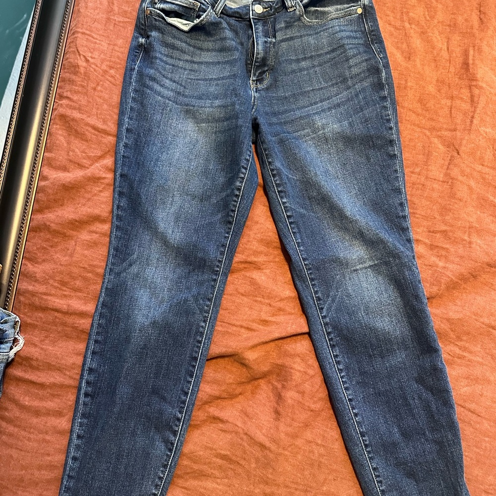 Judy Blue Dark Wash Skinny Jeans